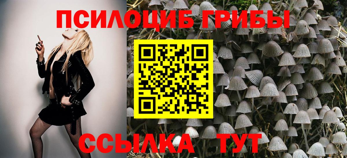 Псилоцибиновые грибы прущие грибы  Галлюциногенные грибы мицелий  Узловая  Вход с VPN 